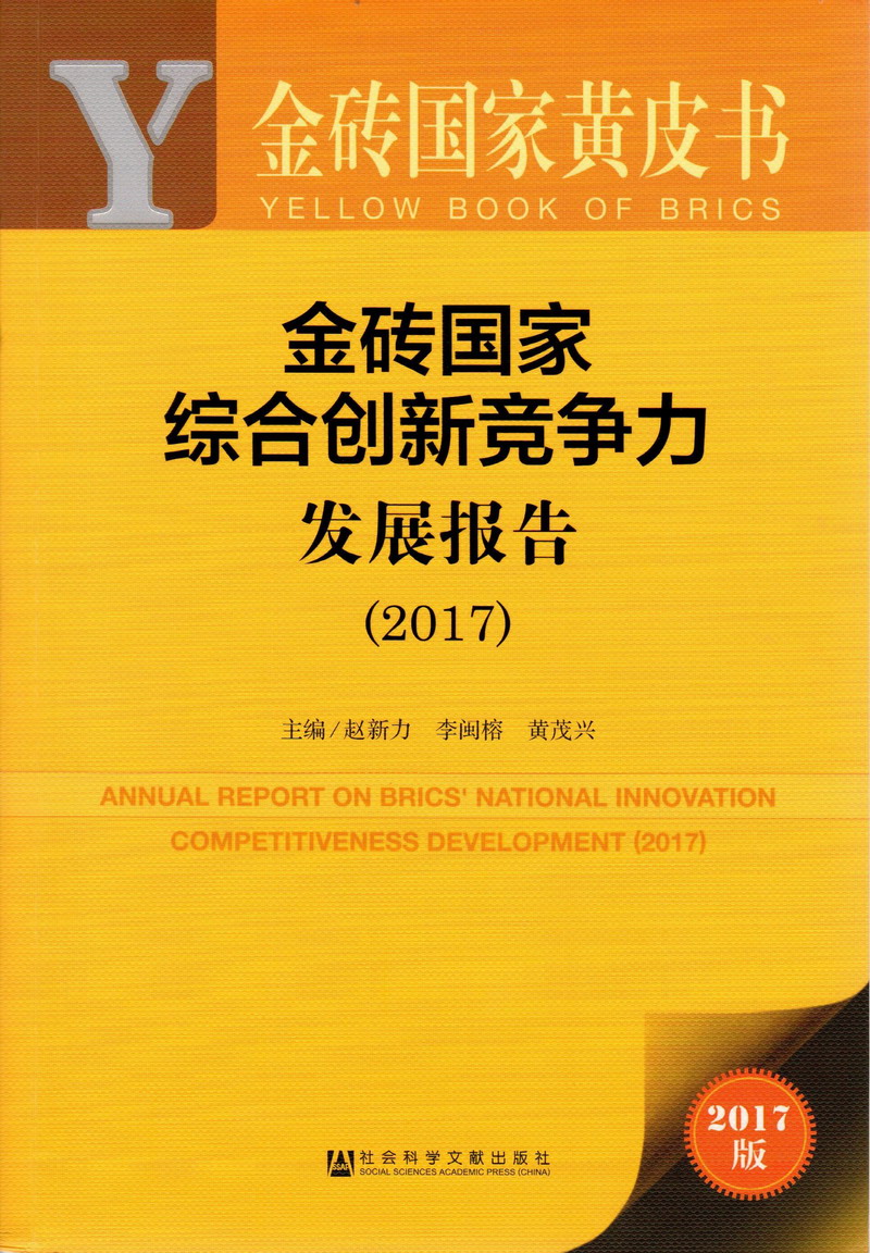 鸡巴操逼网站金砖国家综合创新竞争力发展报告（2017）